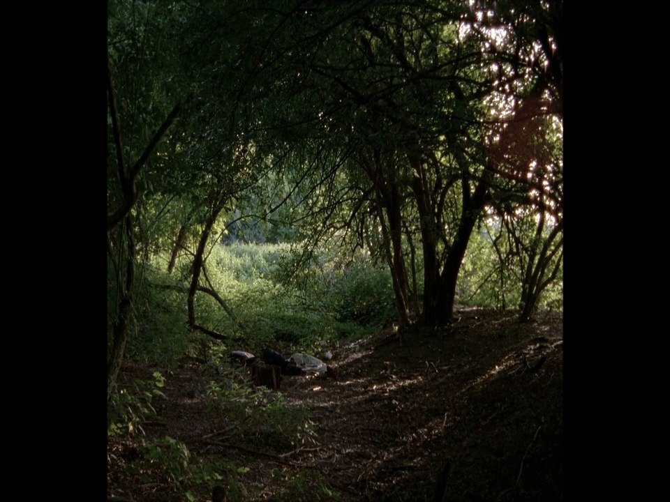 Here Videoauszug OmeU