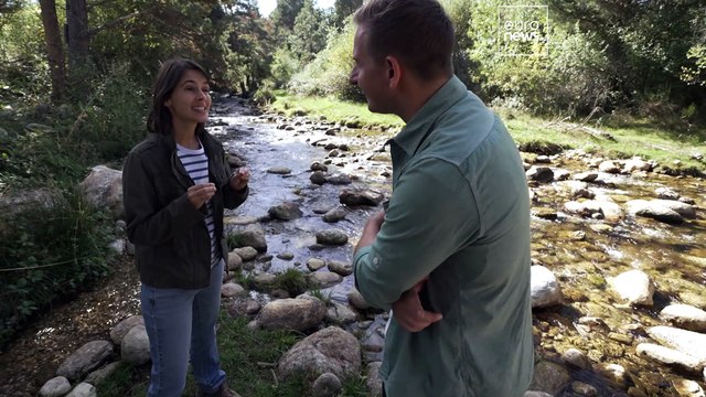 Pourquoi faut-il libérer les rivières européennes des barrages obsolètes ?
