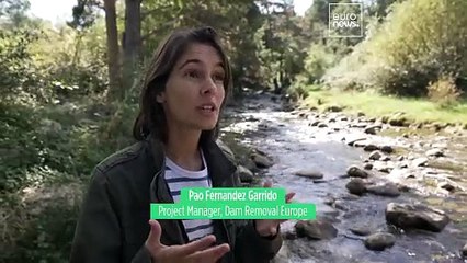 How can the European Dam removal initiative help improve river health?