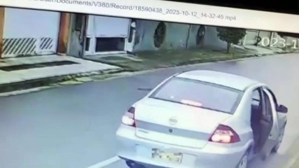 Cadela se desespera ao ser abandonada na rua por motorista