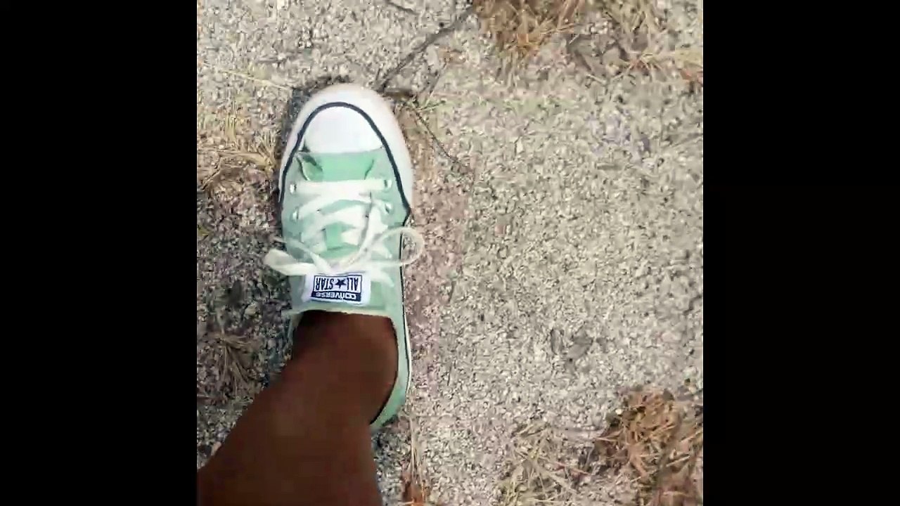 El Camino