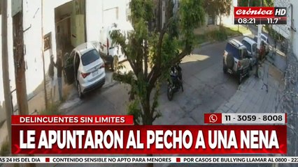 Inseguridad sin límites: delincuentes le apuntaron al pecho a una nena