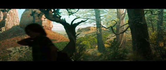 Le musée des merveilles