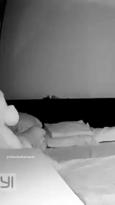 Morning ORBS! - Ochtend Orbs!