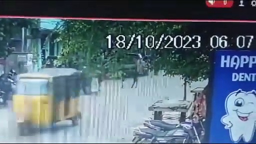 சென்னையில் மாடு முட்டியதில் சாலையில் நடந்து சென்ற முதியவர் படுகாயம்