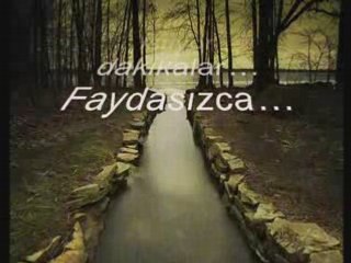 Ey can