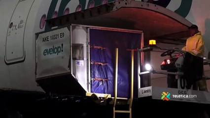 ext-combustible-sostenible-avion-241023