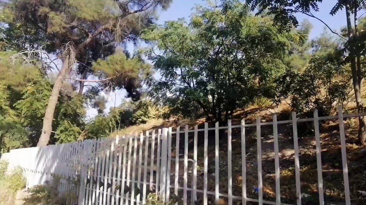 سوريا حلب شارع فيصل الى جامع الرحمن