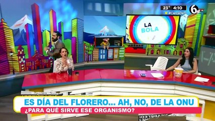 La 'ONU' ¿para qué sirve este organismo?