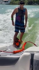 A Wakeboarding Dog