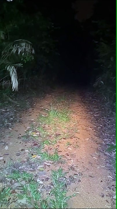 Paranormal activity ghost on camera part 262