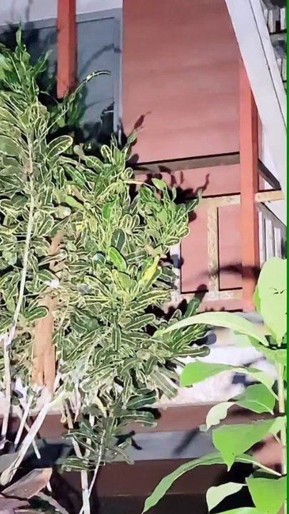 Paranormal activity ghost on camera part 263