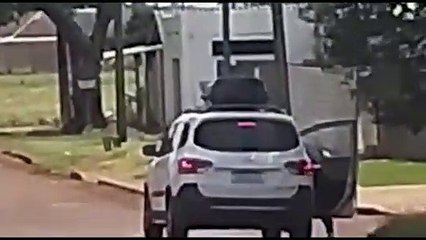 Vídeo flagra mulher abandonando cachorrinha de três patas no Cascavel Velho