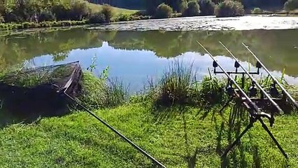 journée à la carpe tranquille 
