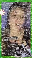 Há mais bois do que humanos no Brasil