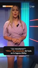 Bomberos de la Policía rescató a "Chico", un perrito atrapado en el lodo