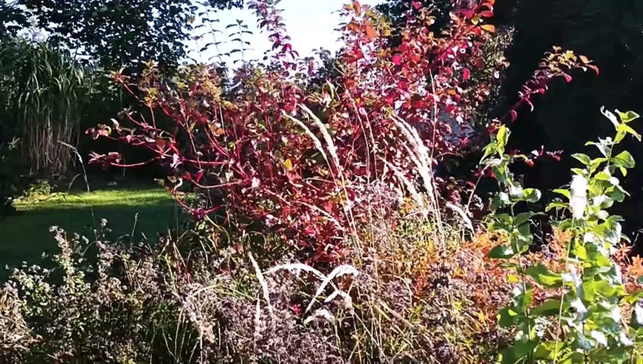 Dziennik Zachodni / Katowice Ogrody Działkowe / Arkadiusz Gola