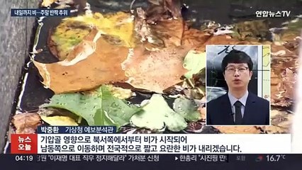 돌풍·벼락 동반 요란한 가을비…주말에는 '반짝 추위'