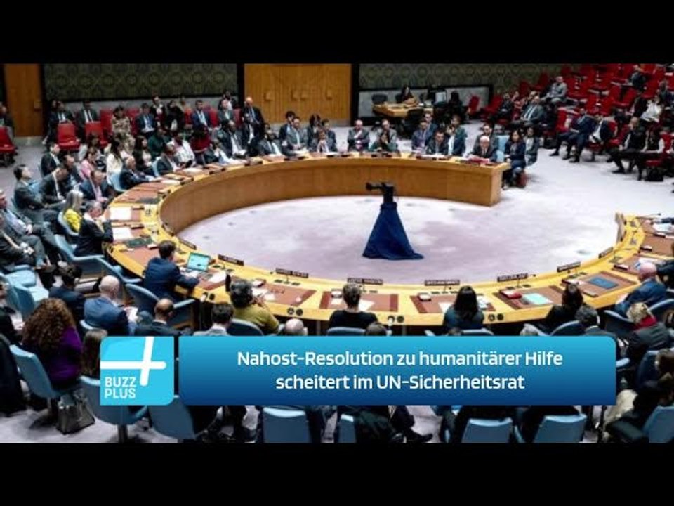 Nahost-Resolution zu humanitärer Hilfe scheitert im UN-Sicherheitsrat