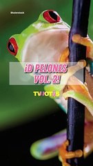 ¿Las ranas serán buenas mascotas?