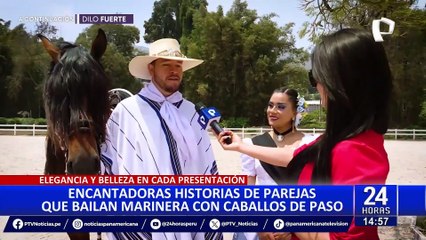 La increíble historia de las parejas que bailan marinera norteña con caballo de paso