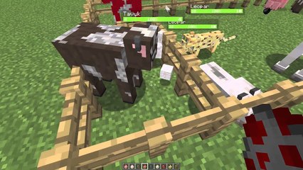 Minecraftta Can Barı Var ARTIK!