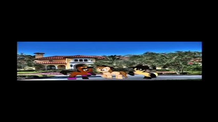 Ocala, FL Mares Ponies