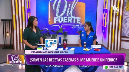 ¿Sirven los remedios caseros para tratar una mordedura de perro con rabia?