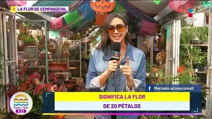 El significado del Cempasúchil para los mexicas y su relación con la vida y la muerte