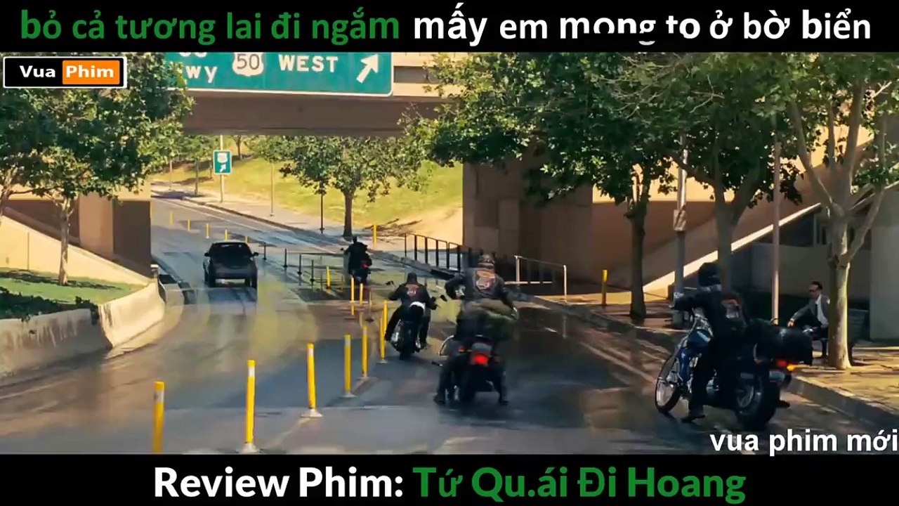 Review_Wild Hog- Tứ Quái Đi Hoang