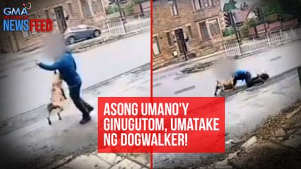Asong umano'y ginugutom, umatake ng dogwalker! | GMA Integrated Newsfeed