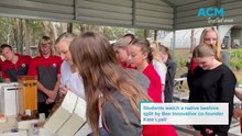WATCH: Native beehive split at Mount View High School
