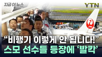 '비상!'...스모 선수들 등장에 뒤집어진 日 항공사 [지금이뉴스] / YTN
