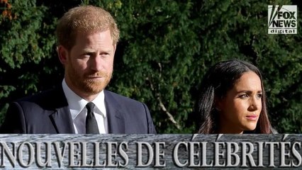 Meghan Markle calculatrice  ?Son stratagème pour relancer sa carrière