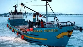 Péril en haute mer (Discovery Chanel) : décès d'un pêcheur bien connu de l'émission