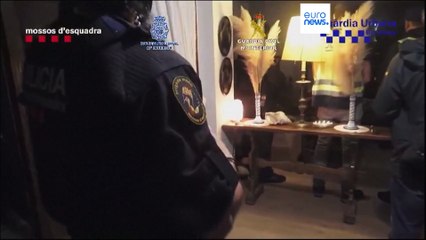 España | La policía rescata a más de 400 animales del tráfico ilegal