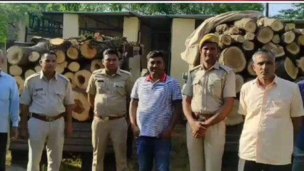 झुंझुनूं: हरी लकडि़यों से भरे दो ट्रेक्‍टर ट्रोली किए जप्‍त, मचा हड़कम्‍प