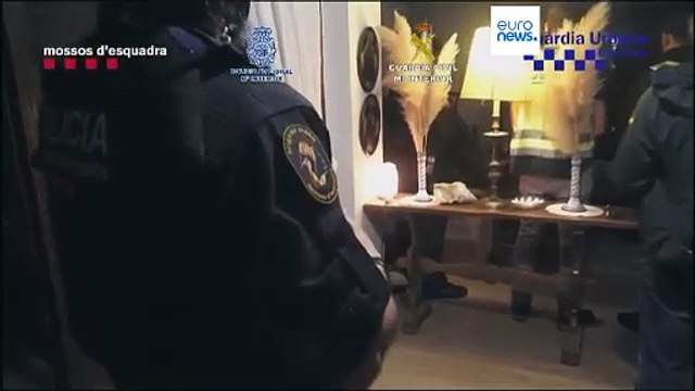 Spagna, centinaia di cani e gatti salvati da traffico illegale e maltrattamenti: 13 arresti
