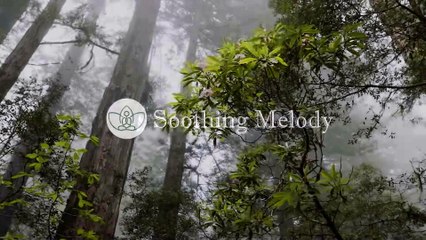 Музыка успокаивает, успокаивает нервную систему и радует душу   целебная музыка #4