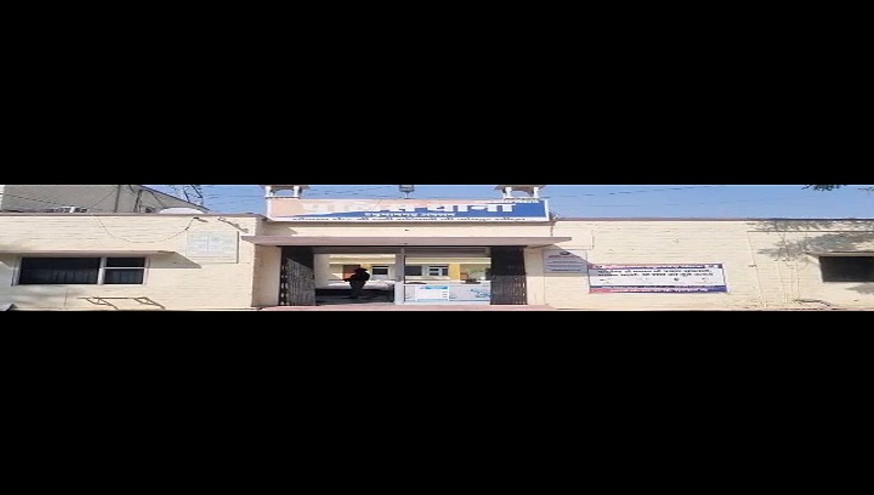 House lamp extinguished due to electric shock while flying pigeon