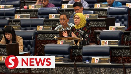 JKM to discuss mandatory babysitter screening with police, Home Ministry