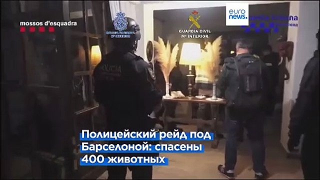 Обнаружена преступная сеть, торгующая животными