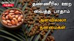 பாதாமில் உள்ள மருத்துவ குணங்கள் |  Almond Health Benefits in Tamil | Badam Paruppu Benefits in Tamil
