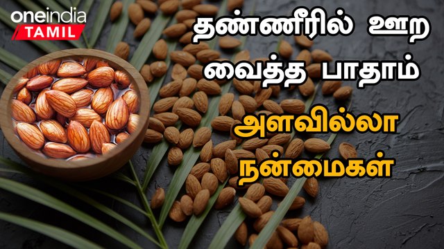 பாதாமில் உள்ள மருத்துவ குணங்கள் | Almond Health Benefits in Tamil | Badam Paruppu Benefits in Tamil