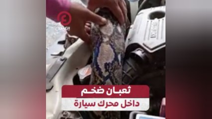 ثعبان ضخم داخل محرك سيارة