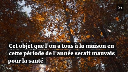 Cet objet que l'on a tous à la maison en cette période de l'année serait mauvais pour la s