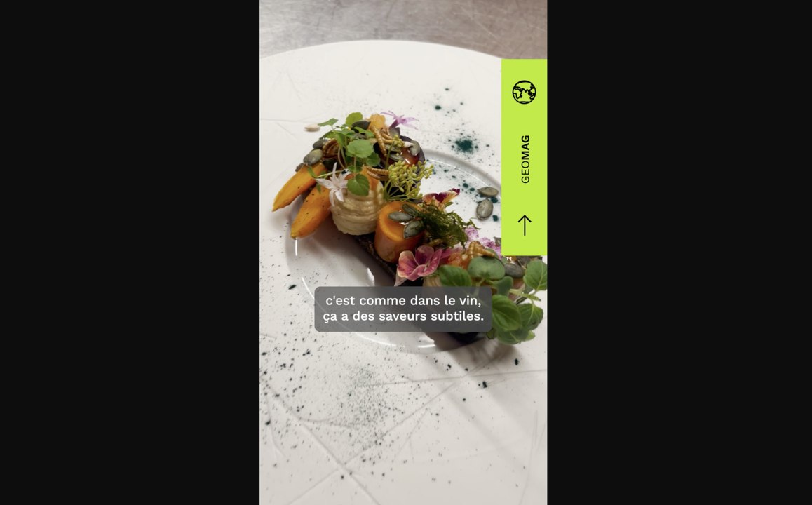 Manger des insectes, une solution pour l’environnement ?