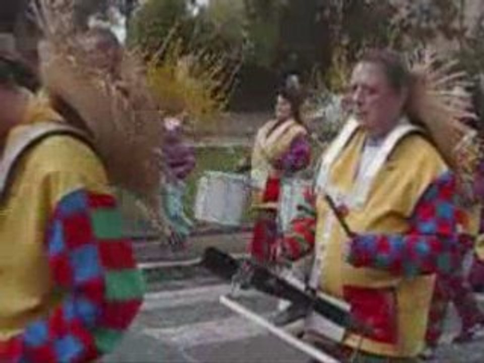 Carnaval de l'Isle Adam 2008