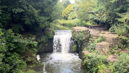 Newcastle headlines 19 October: Funding given to rejuvenate Ouseburn river