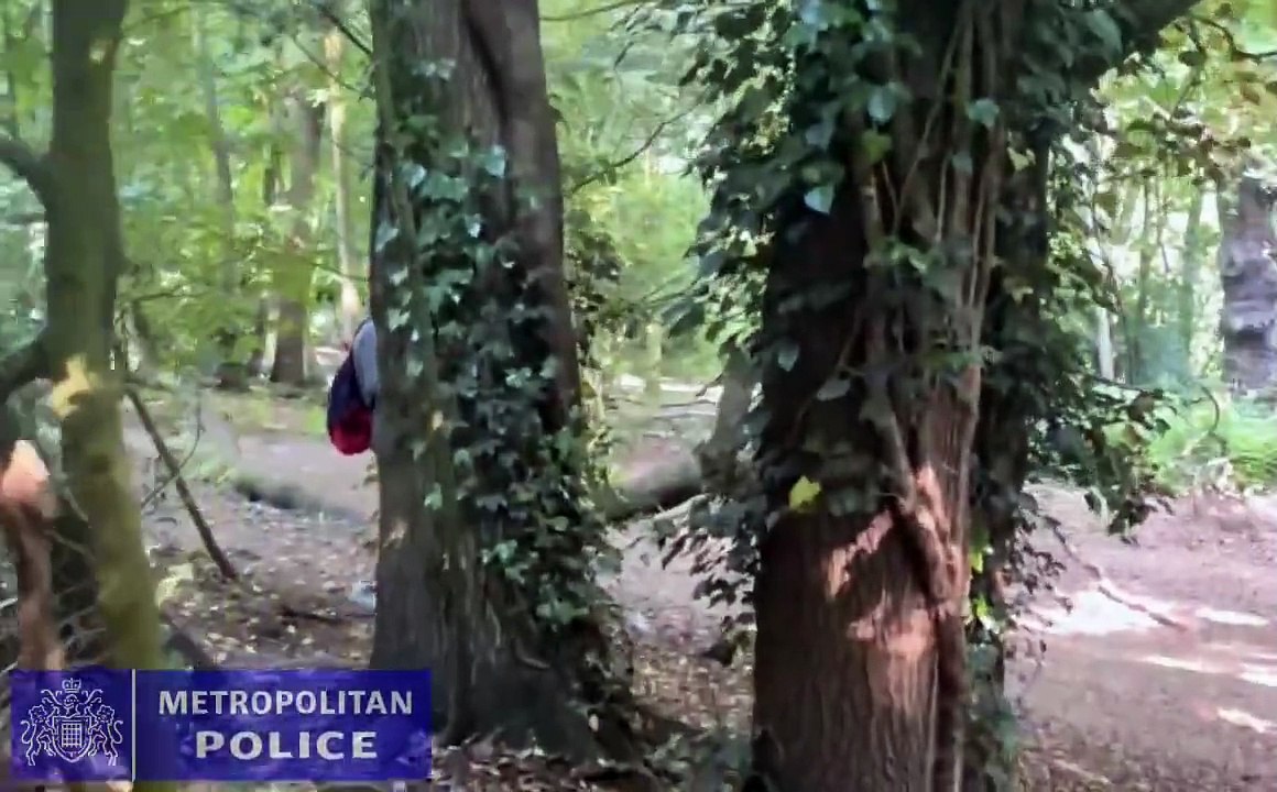 Hampstead Heath indecent exposure